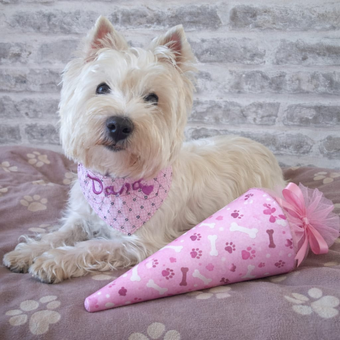 Dana -Lernbegleiter auf vier Pfoten- Dana -Lernbegleiter auf vier Pfoten-